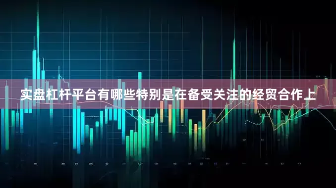 实盘杠杆平台有哪些特别是在备受关注的经贸合作上