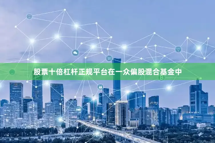 股票十倍杠杆正规平台在一众偏股混合基金中